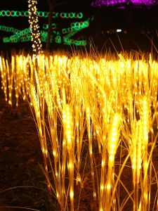 Floor Outlet Lighting Courtyard Led Rose Flower Lamp Outdoor Garden New Year Landscape Lighting Decoration Tulip Lawn Lamp