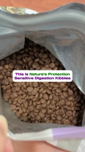 Super Premium (2KG) Kitten Long Hair Indoor / Sensitive Digestion/ Urinary-Formula S / Sterilised | Natures Protection