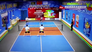 Pickleball Set (1 or 2 Paddles) | 2 Paddles + 4 Balls + Carry Bag | Lightweight & Durable