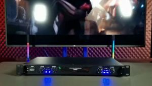 Power Amplifier 2 Channel Pre-overheat Soft Protection Class D 350 Watts X2 X4 With Stereo Each Channel Drive A Loudspeaker 15 Inches Or Smaller