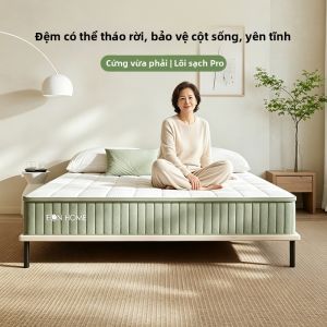 EON LIVING | Nệm Chống Khuẩn Nhà Bụi Có Thể Tháo Lắp