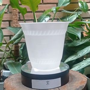 Pot Kerang Lovenia | Pot Kerang 15 - Pot Kerang 18