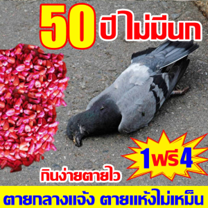 ยาสูตรพิเศษกำจัดนกพิราบและนก 500g แห้งเร็ว ไม่มีกลิ่น ใช้ได้ทุกฤดูกาล ไม่มีอีส์การ์์ม