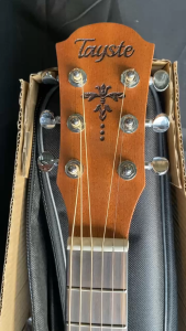 Tayste TS-10-30 31inch Acoustic Guitar (Turtle Back)