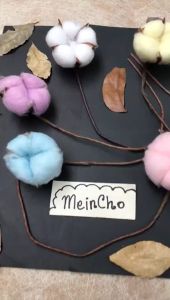 Dried Flower Kapas: Bunga Kering Kapas dan Kapas Preserved Rustic