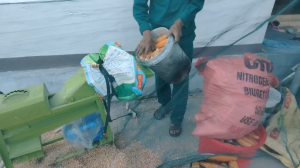 Máy Tách Hạt Ngô Nhanh Sạch Không Vỡ Hạt NgôKhông Nát Lõi Ngô