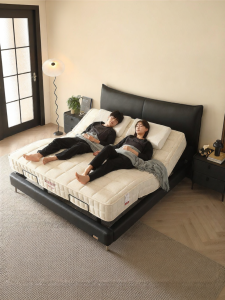 Luxury Modern Electric Zero Disturbance Stress-free Leather Bed