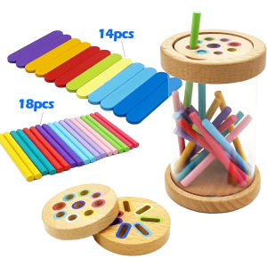 Montessori Color Sorting Toys Wooden Learning Early Education Toy Fine Motor Sensory Development Matching Games Busy Board Toys
