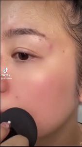 SUNISA Foundation Mushroom Head Air Cushion Waterproof BB Cream Frost Concealer Oil Control Face Mak