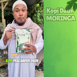 KOPI DAUN MORINGA MATCHA LATTE COMBO 8 PACK