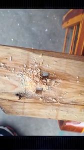 ADAPTOR DAN MATA BOR PAHAT KAYU + 4 mata bor (64mm)-8mm)(97mm)-10mm)(127mm)