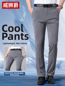WEISHIJUE | Summer Slim Fit Business Ice Silk Trousers Elastic and Quick-Dry