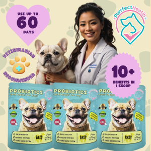 PH-probiotics for dog health dog vitamins and supplements removes excessive scratching & paw-lick
