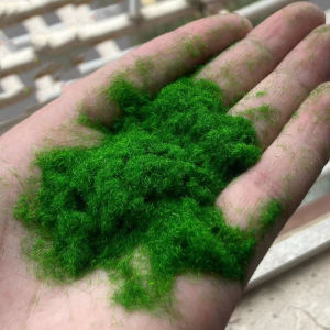 Artificial Green Plant Micro Landscape Simulation Bumpy Rock Sand Table Model Decoration Grass Lawn Peat DIY Craft Supply