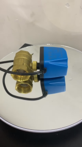 VAN BI ĐIỀU KHIỂN ĐIỆN 3 DÂY (BÍCH) – DÒNG DC24V