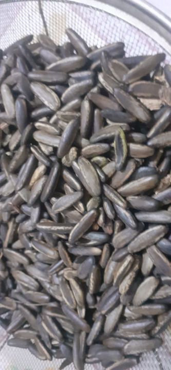 H%E1%BA%A1t%20ph%C6%B0%E1%BB%A3ng%20%C4%91%E1%BB%8F%20(ph%C6%B0%E1%BB%A3ng%20v%C4%A9)%20gi%E1%BB%91ng%20-%20Image%204