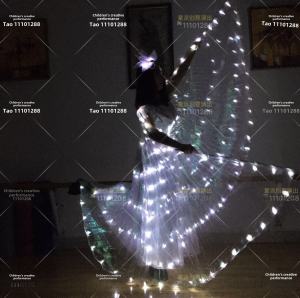 Luminous LED Fluorescent Butterfly Dance Costume Eastern Belly Dance Performance Robe Glowing Wings Novelty Glow in the Dark