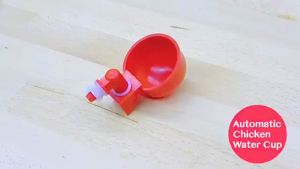 5/10/25Pcs Chicken Water Drinker Feeder Chicken Water Cup Automatic Poultry Water Bowl for Chicken Cock Ducks Birds Turkeys
