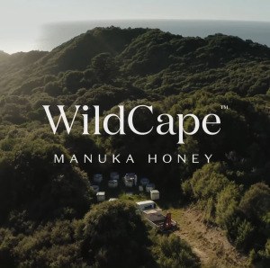WildCape Multifloral Honey 500g/1kg