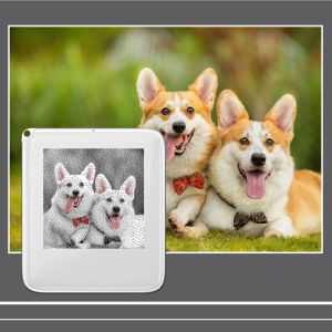 EOENKK | NFC Function Memory Keyring 1.54-inch Three Color Display Screen Image Wireless Transmission Keychain Ink Screen
