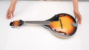 ammoon 8-String Basswood Sunburst Mandolin Musical Instrument with Rosewood Adjustable Bridge