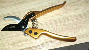 Kapusi Gunting Dahan Pruning Kapusi Japan Original Gunting Bonsai Warna Gold Stainless Steel Heavy Duty SK5 Steel Mata Pisau Tajam Pengiriman Cepat Aman