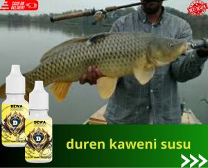 essen ikan mas gacor /Essen Dewa duren kaweni susu/rame/total/kiloan