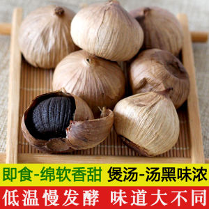 Authentic Shandong Single Head Black Garlic Fermented Multi-Bulb Ready-To-Eat Soup-Making Commercially Roasted Garlic Head