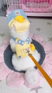 Set 3 Món Dây Dắt Yếm Mũ Vịt Vàng Đáng Yêu Cho Thú Cưng Chó Mèo