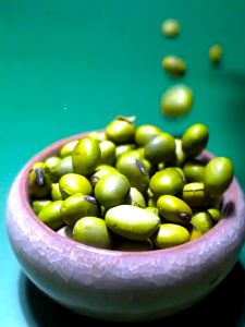 4kg & 10kg Tofu Cat Litter: A Comprehensive Guide