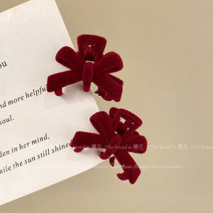 Princess Style Mini Butterfly Knot Hair Clips Womens New 2024 Fashion Sensation Side Bangs Small Gripper Cute Hair Accessories