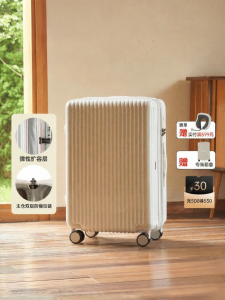 Diplomat | Pearlescent Large Capacity Password Lock Luggage