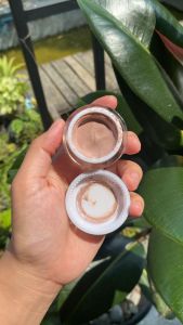 BELLEZKIN 3in1 / BELLEZKIN SATUAN