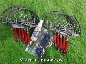 กับดักหนูโมดิฟาย 6นิ้ว + ขี้ใต้10ก้อน + น้ำหอมดักหนูนา เช็ตพร้อมใช้ดักหนูนา