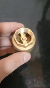 Van 1 Chiều & Luppe Lò Xo Chặn Dòng Chảy Chốt Khóa Lò Xo Bằng Đồng Thau MBV