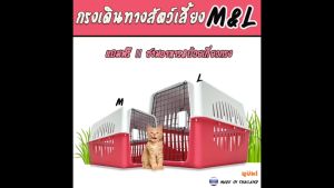แถมฟรี ชามอาหาร กล่องเดินทางสัตว์เลี้ยง กรงหิ้วแมว กรงเดินทาง กรงหิ้วแมว มีแผ่นปูพื้น กรงหิ้ว กล่องใส่สัตว์เลี้ยง สำหรับสุนัขและแมว