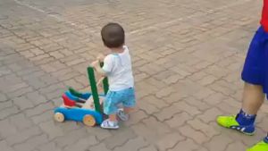 Xe tập đi gỗ hình 3 con gà