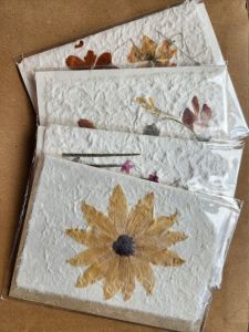 [Local Stock] Handmade Dried Flower Greeting Card