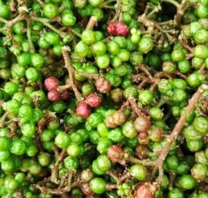 1 KG BUMBU/REMPAH ANDALIMAN SEGARTUBAITIR-ITIR MERICA BATAK  SEGAR SUMATERA UTARA PENGIRIMAN DARI MEDAN. yang rindu dengan Masak Arsik.