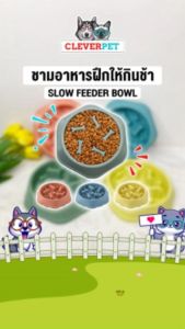 CleverPet ชามอาหารสัตว์เลี้ยง ชามอาหารฝึกให้ทานช้าลง ชามกินช้า ชามอาหาร สุนัข แมว Slow Feeder Pet Bowl