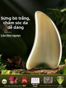Face and Body Beauty Gua Sha Board