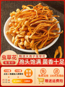 Cordyceps Flower Fresh Farm Dry Goods Authentic Special Cordyceps Grade Wild Soup Ingredients Sulfur-Free Non-Cordyceps Militaris Cold Sauce