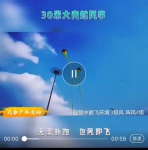 DIỀU RẮN 5 ĐUÔI DÀI 15 MÉT VÀ 9 MÉT tặng kèm cuộn dây thả diều