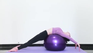 Gym Ball Premium 65cm Bola Yoga Fitness Pilates Exercise Gymball Anti Slip