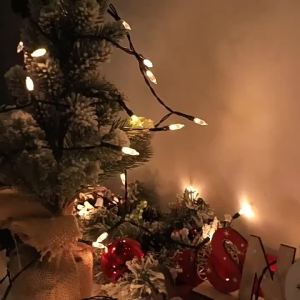 2M/21M LED String Lights Green Wire Christmas Tree Street Fairy Lights Garland For Outdoor Home Party New Year Wedding Decor