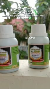 Pupuk anggrek bulan vitamin anggrek agar cepat berbunga