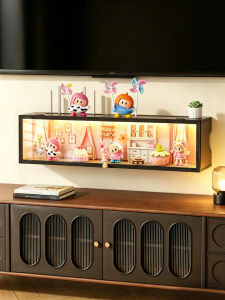 ZEDUO | Cable Organizer and Decoration Box Micro Landscape Display