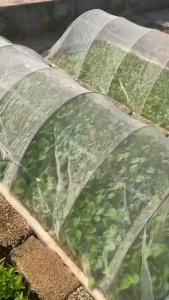 มุ้งปลูกผัก มุ้งขาว มุ้งขาวโรงเรือน 32ตา/40ตา/60ตา มุ้งกันแมลงผัก ตาข่ายกันแมลง มุ้งโรงเรือน กันแมลง