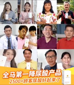 【Ready stock】Master Uri 46% 浓缩猫须草精华-降尿酸保健品 尿酸 痛风 补肾