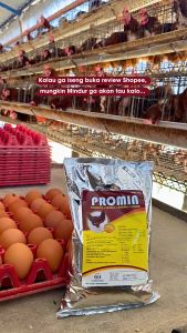Promin 25 Kg Ayam Petelur Premix Asam Amino Vitamin Memicu Produksi Telur dan Nafsu Makan